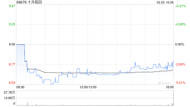 十月稻田于2月20日斥资316.62万港元回购36万股