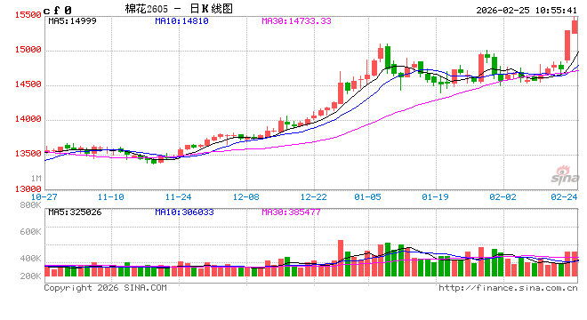 2026年值得关注的几个品种(一)