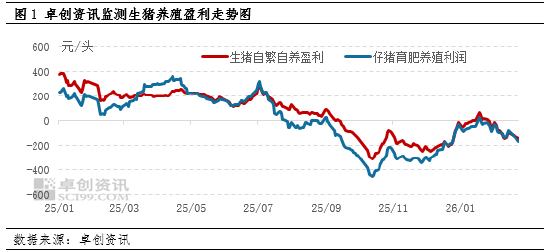 高瞻远“猪”:节后亏损再度加剧 生猪养殖何时走出困境?