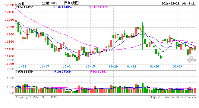 碳酸锂节后首周行情复盘：冲高回落与非洲政策变数