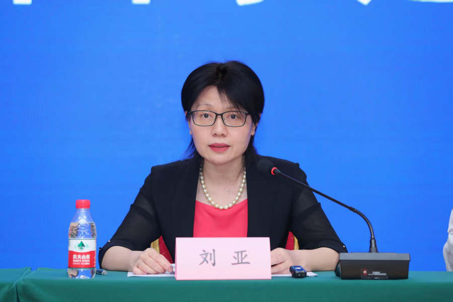 全国人大代表刘亚：常态化发行专项债，支持中小银行可持续发展