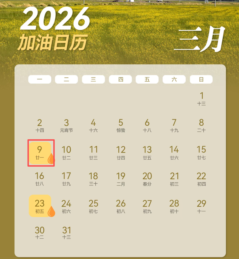 明晚,油价将调整!