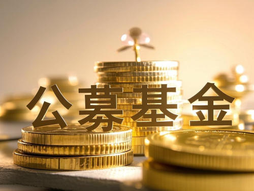 公募集体发声:彰显专业价值,让科创企业与耐心资本“双向奔赴”