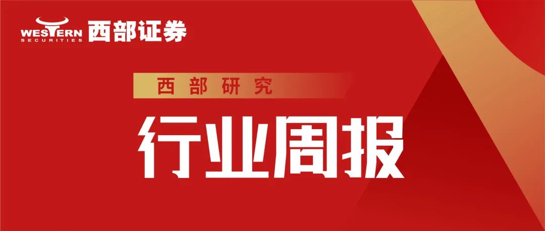 【西部海外政策】美国数据中心电力供应的现实约束、解决方案和投资含义