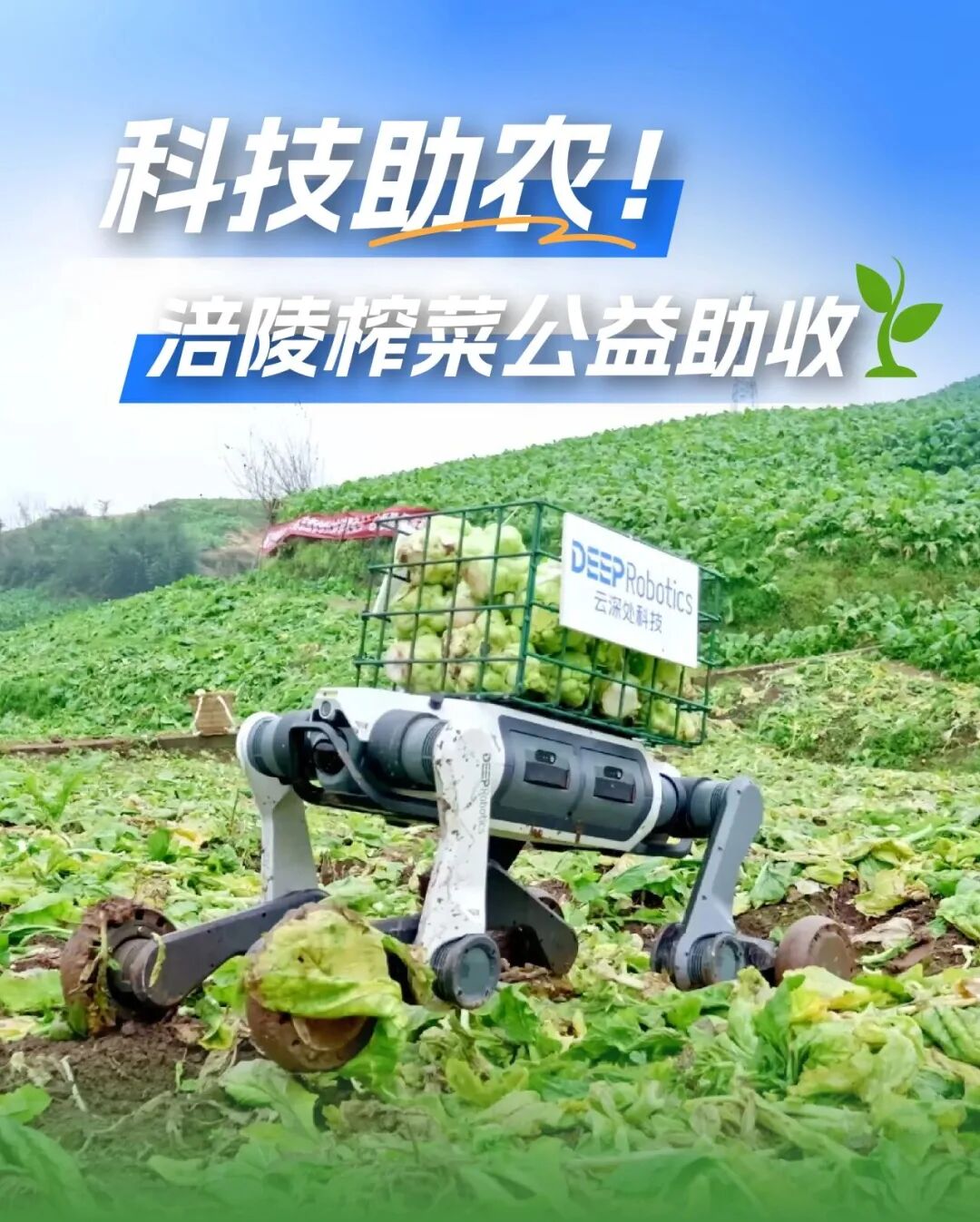 志之所向,步之所量丨华映family动态