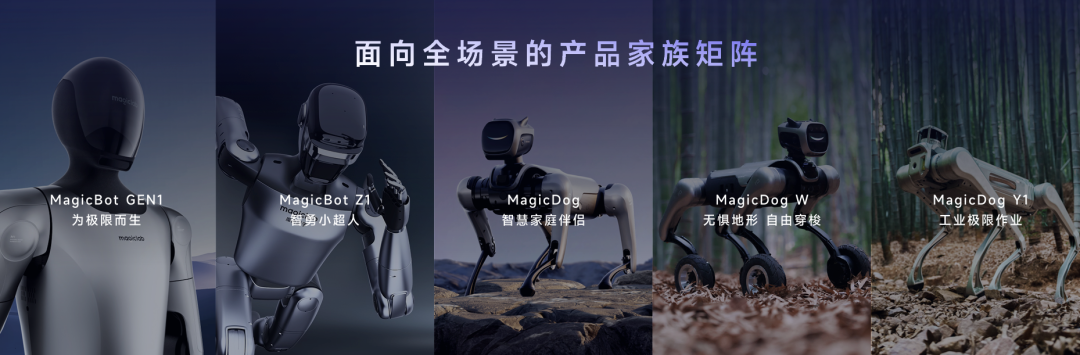 志之所向,步之所量丨华映family动态