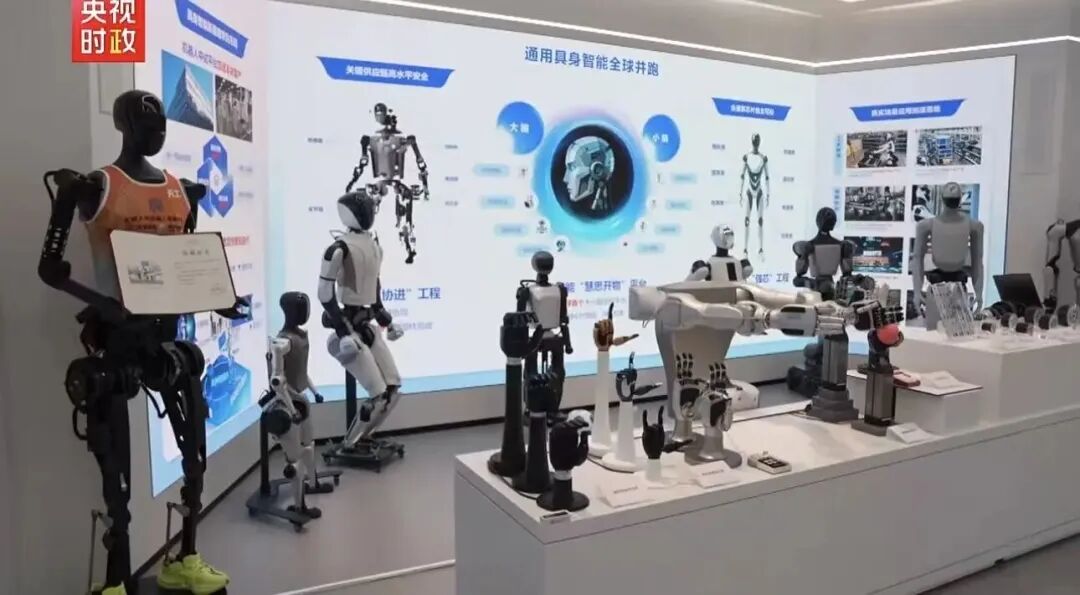 志之所向,步之所量丨华映family动态