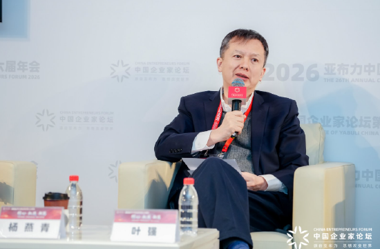 叶强:现在大模型不见得需要全域,垂域技术会不断出现