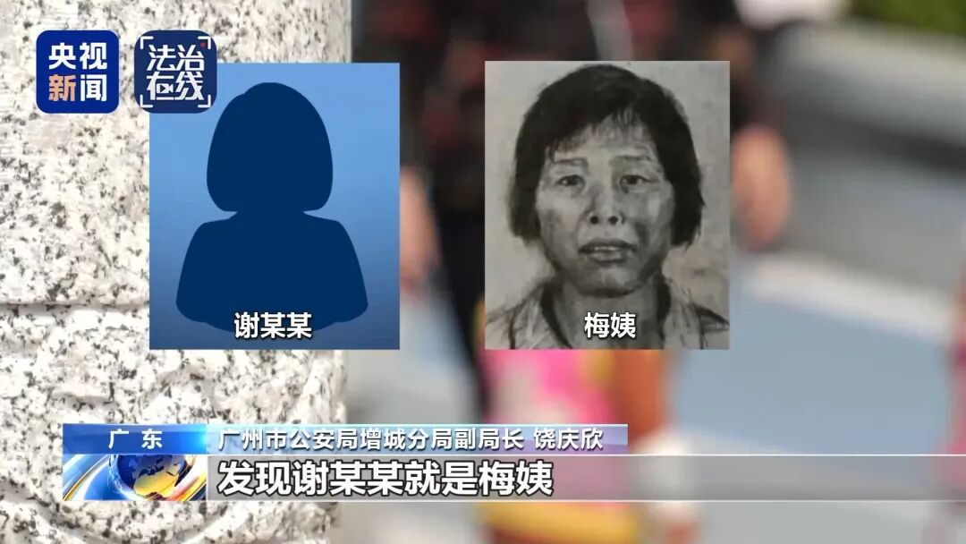 “梅姨”案细节公布