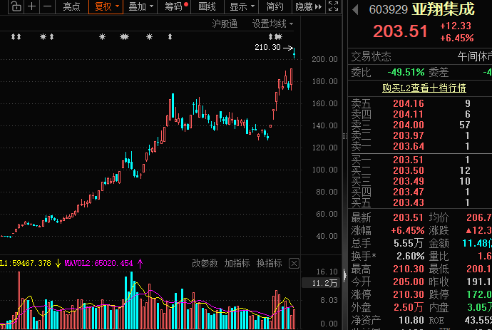 亚翔集成暴涨超18倍!10倍股回调榜出炉,*ST双成跌80%、惠城环保、艾融软件跌60%,机构扎堆关注这些优质股