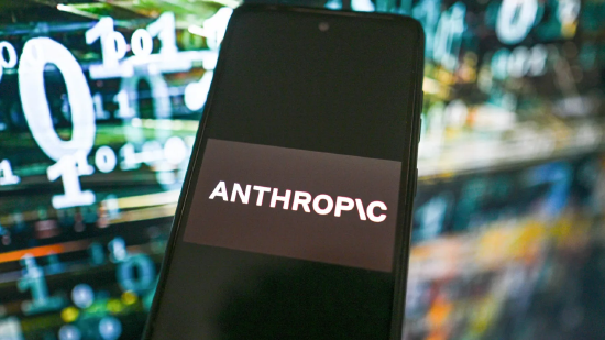Anthropic正在测试一款强大新模型,网络安全板块个股下跌