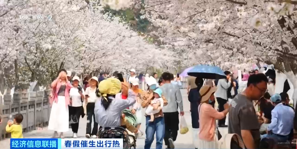 春假文旅市场大爆发!出行最高峰竟是→