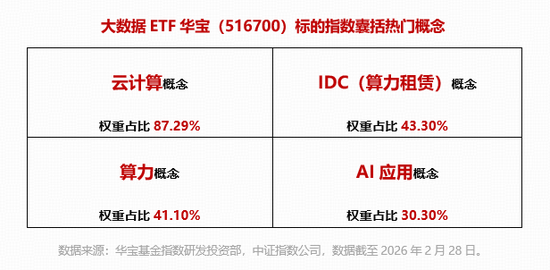 智谱API调用量飙升,算力租赁板块走高!优刻得-W领涨超8%,华宝基金大数据ETF(516700)盘中上探2.56%