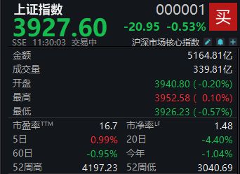 A股低开低走,沪指半日下跌0.53%