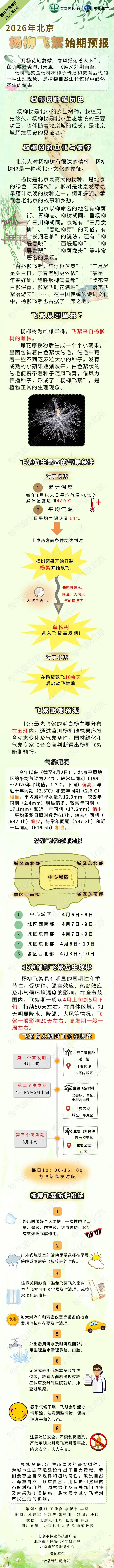 中心城区预计后天开始飞絮，北京发布今年首个杨柳飞絮预报
