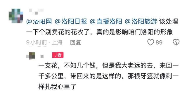 游客称在洛阳一市集买的牡丹，竟是牙签固定的 “断头花”！市集回应：已关注，正核实