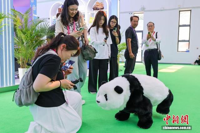 探馆消博会:多款智能机器人集中亮相