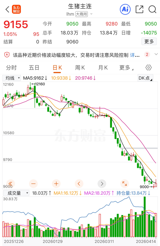 期货率先反弹!生猪主力合约涨超1% 猪肉概念再度大涨