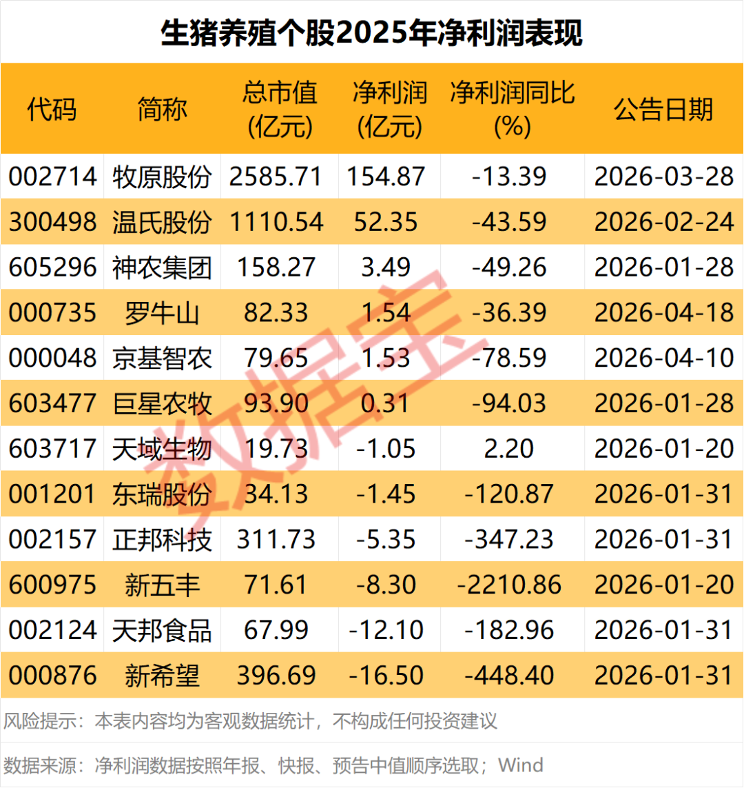 全线飘红，多地价格突破10元，猪市风向变了