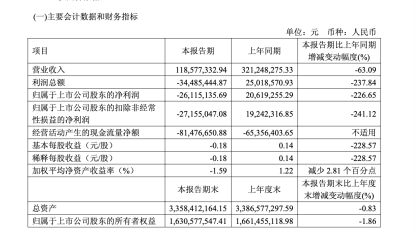 盛剑科技一季度亏损2612万元,张伟明质押700万股后,公司“半导体新故事”先撞上订单收缩 | 长三角资本局