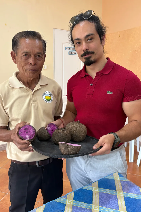 火爆全网的香兰紫薯,背后复杂又隐秘的产业链