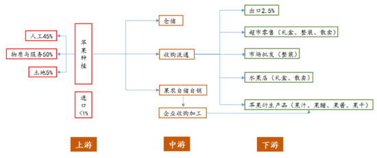从果园到盘面:苹果价格背后的逻辑