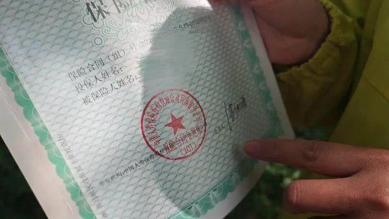 中国人寿业务员涉嫌用假合同诈骗24万!警方:诈骗人数众多、涉案金额巨大,业务员被拘留