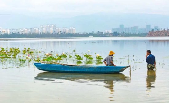 在国家级湿地公园旁住了3年,我决定把全家都接过来