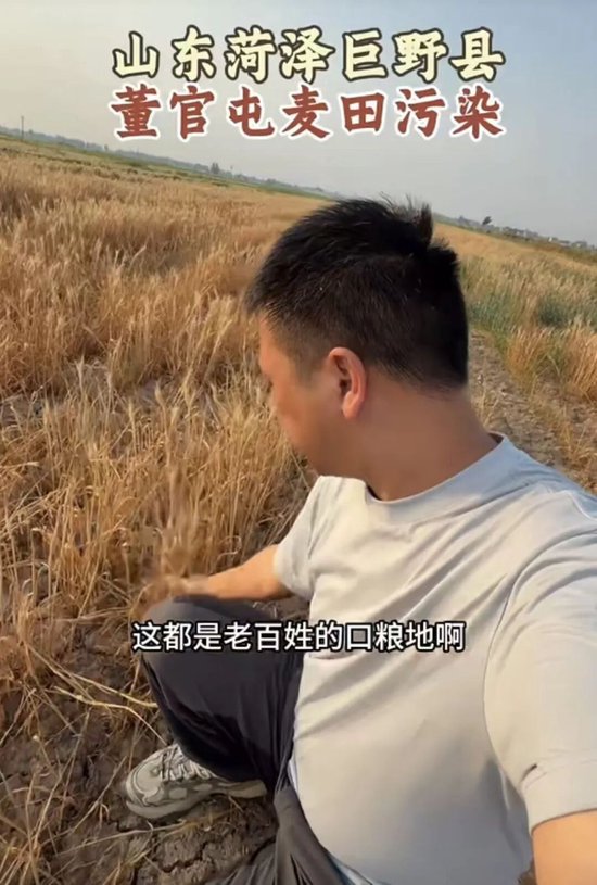 山东菏泽曝大量农田遭污染,官方回应:已成立“专班”介入调查