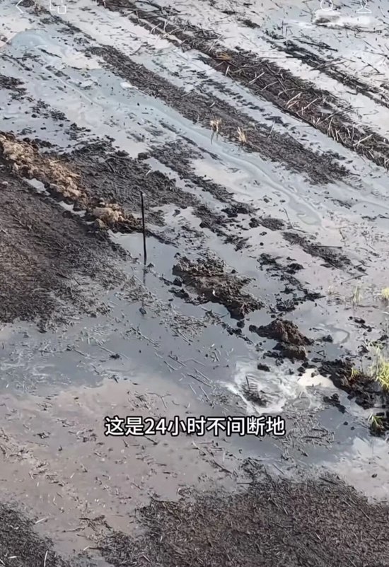 山东菏泽曝大量农田遭污染,官方回应:已成立“专班”介入调查