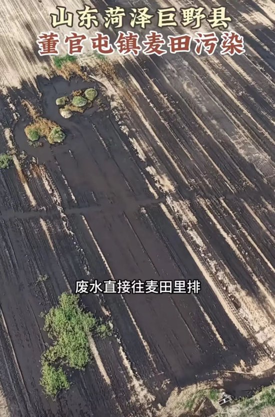 山东菏泽曝大量农田遭污染,官方回应:已成立“专班”介入调查
